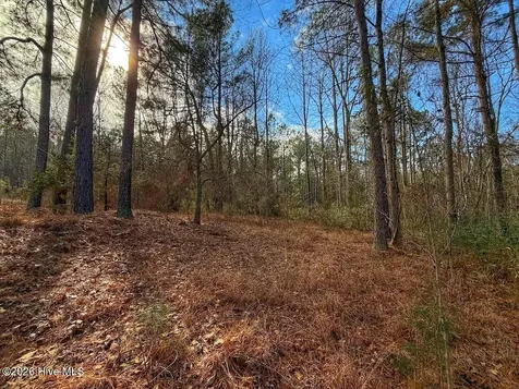 1474 Hillmon Grove Road Cameron NC 28326