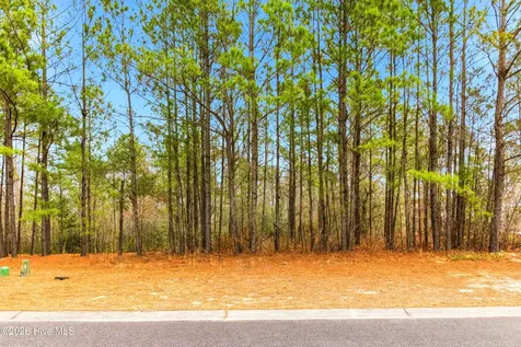 3772 Silver Melon Road NE Leland NC 28451