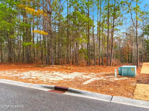 3772 Silver Melon Road NE Leland NC 28451