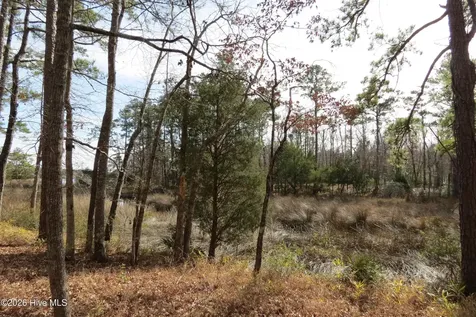 280 Winding Creek Drive Oriental NC 28571