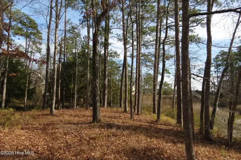 280 Winding Creek Drive Oriental NC 28571