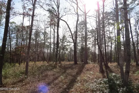 280 Winding Creek Drive Oriental NC 28571