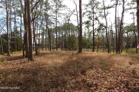 280 Winding Creek Drive Oriental NC 28571