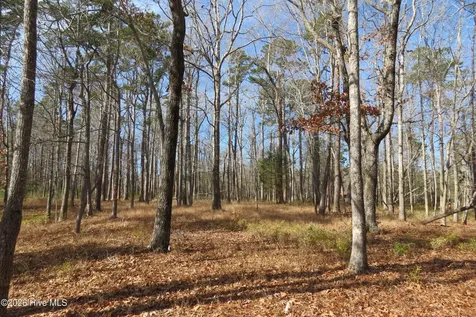 280 Winding Creek Drive Oriental NC 28571