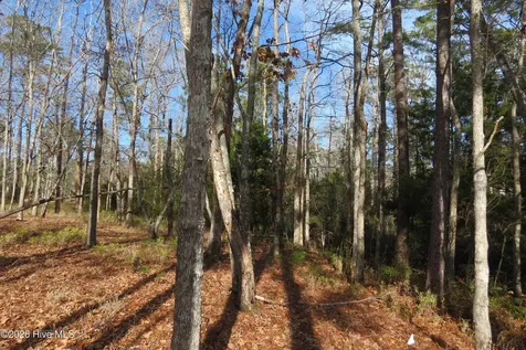 280 Winding Creek Drive Oriental NC 28571