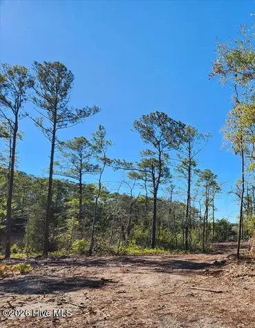 Lot 215 Starling Break Road Southport NC 28461