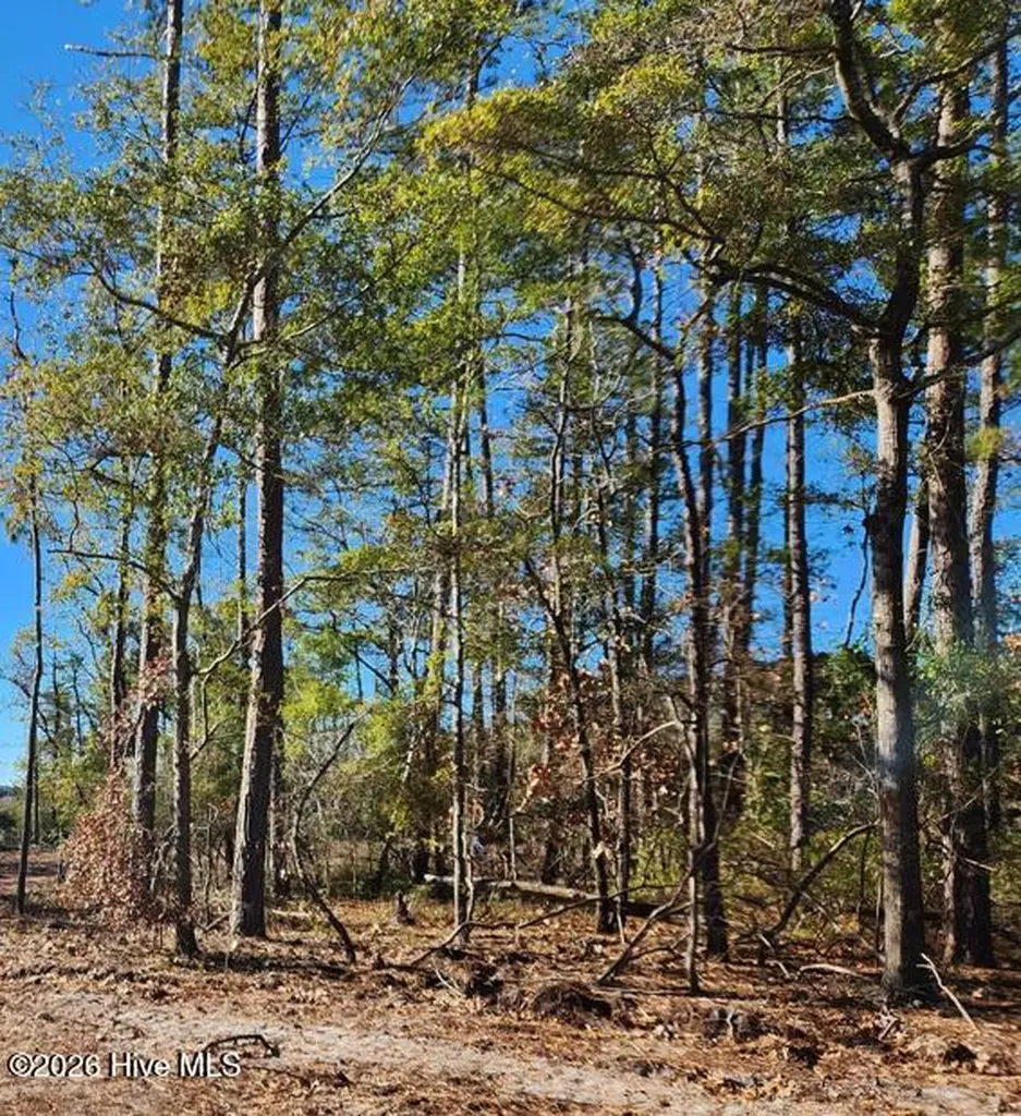 Lot 216 Starling Break Road Southport NC 28461