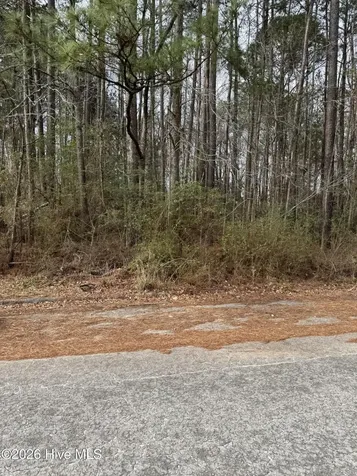 643 Walnut Drive Jacksonville NC 28540