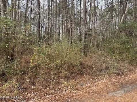 643 Walnut Drive Jacksonville NC 28540