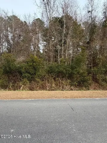 0 Joans Haven Drive Newport NC 28570