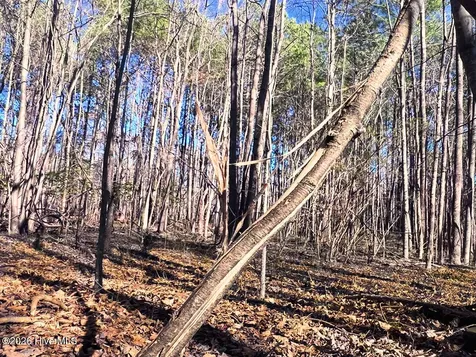 0 Nc 98 Highway Spring Hope NC 27882