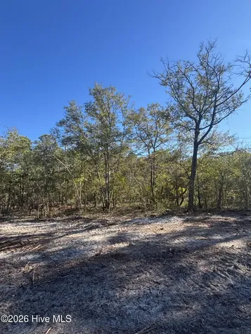 Lot 178 Coral Gull Street Southport NC 28461