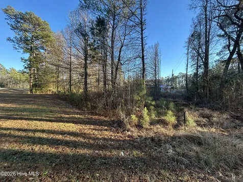 65 Old Blakes Bridge Road Burgaw NC 28425