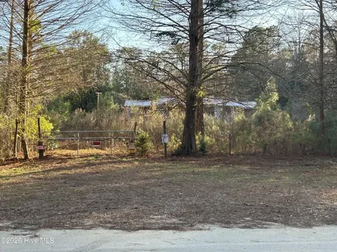 65 Old Blakes Bridge Road Burgaw NC 28425