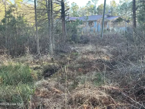 65 Old Blakes Bridge Road Burgaw NC 28425