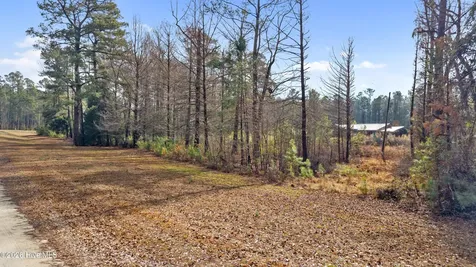65 Old Blakes Bridge Road Burgaw NC 28425
