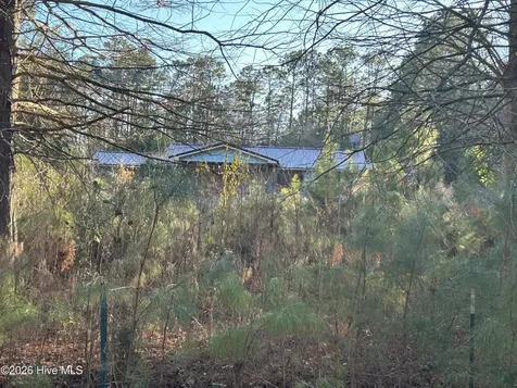 65 Old Blakes Bridge Road Burgaw NC 28425