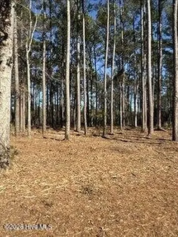 8 Pitch Kettle Court Belhaven NC 27810