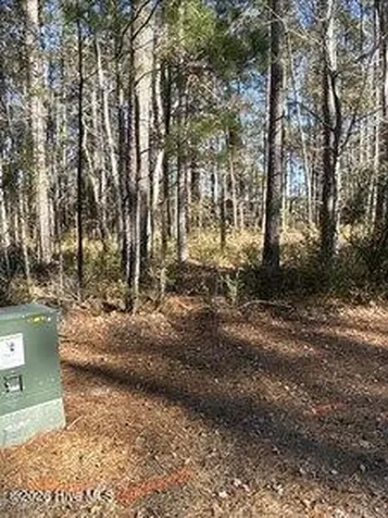 8 Pitch Kettle Court Belhaven NC 27810