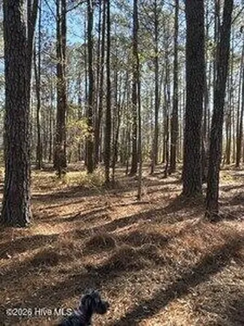 8 Pitch Kettle Court Belhaven NC 27810