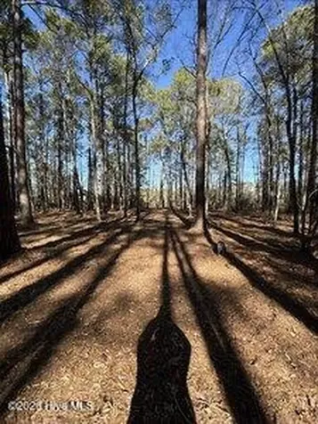 8 Pitch Kettle Court Belhaven NC 27810