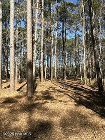 8 Pitch Kettle Court Belhaven NC 27810