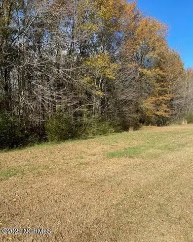 1024 Coburn Lane Robersonville NC 27871