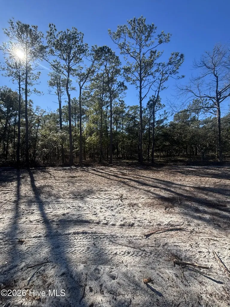 Lot 111 Egret Walk Court Southport NC 28461