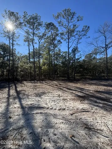 Lot 111 Egret Walk Court Southport NC 28461