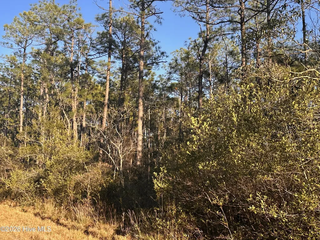 568 Grape Road Southport NC 28461