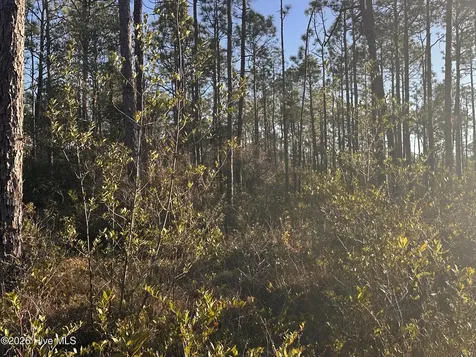 568 Grape Road Southport NC 28461