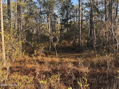 568 Grape Road Southport NC 28461