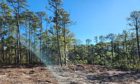 Lot 134 Coral Gull Street Southport NC 28461