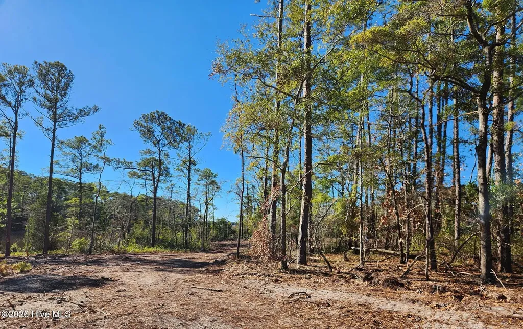 Lot 133 Coral Gull Street Southport NC 28461