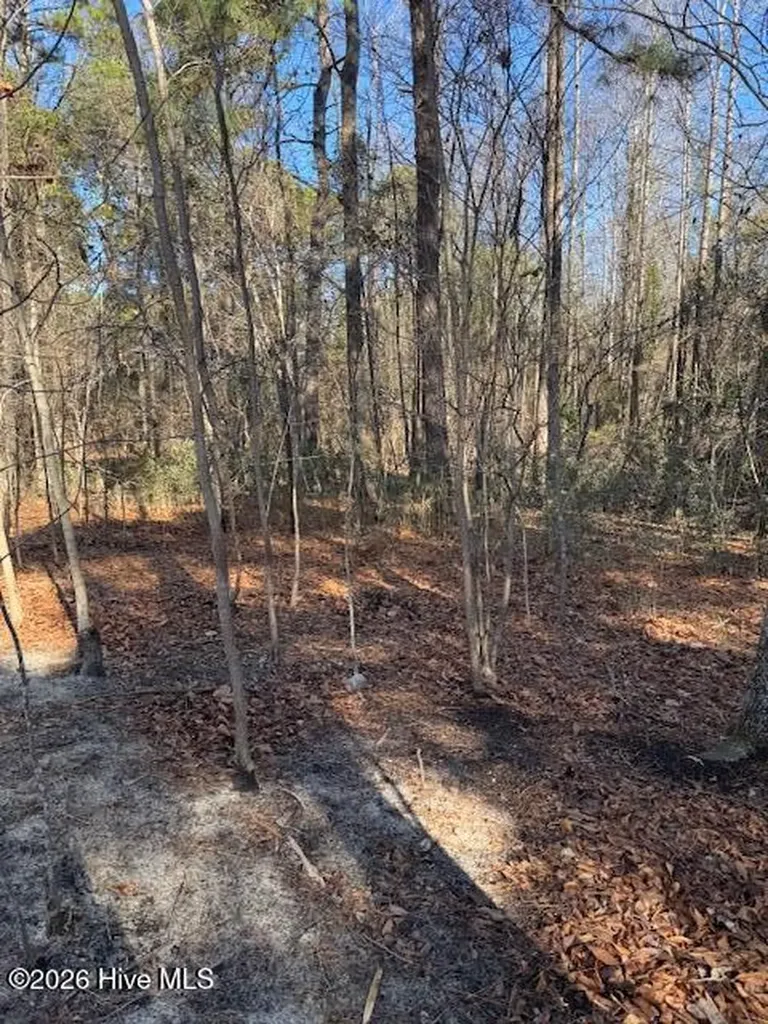 123 James Drive West End NC 27376