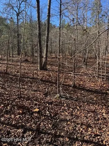 123 James Drive West End NC 27376