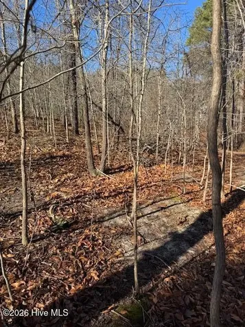 123 James Drive West End NC 27376