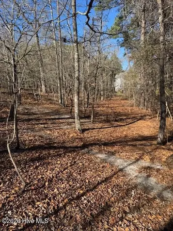 123 James Drive West End NC 27376