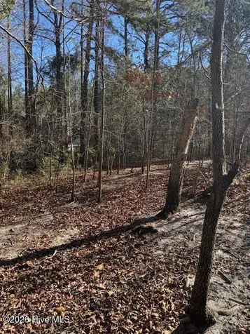 123 James Drive West End NC 27376