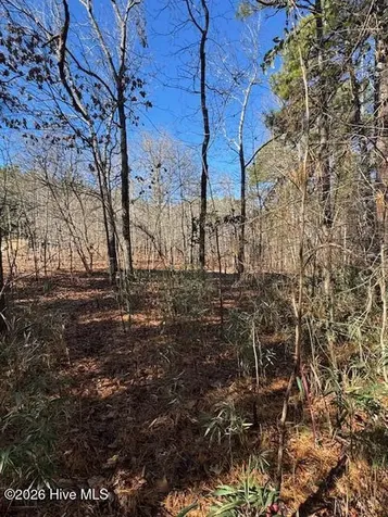 123 James Drive West End NC 27376