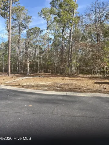 1206 Mandevilla Drive SE Bolivia NC 28422