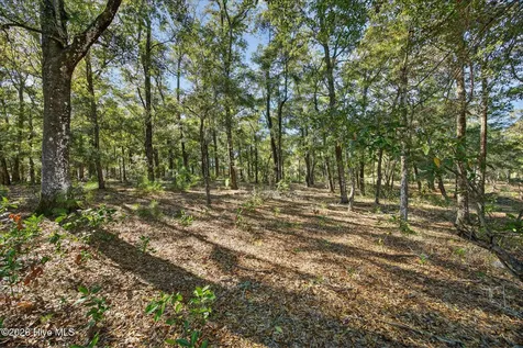 3326 Four Water View SW Supply NC 28462