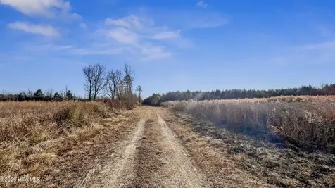 700 Acres Earl Davis Road Rose Hill NC 28458