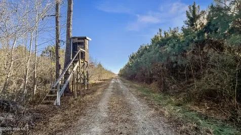700 Acres Earl Davis Road Rose Hill NC 28458