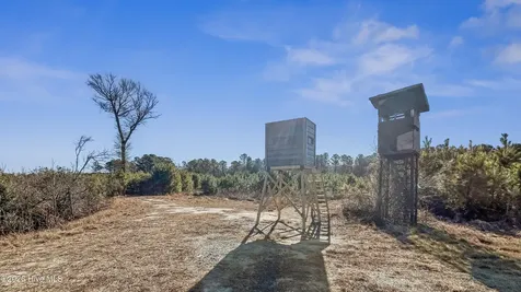 700 Acres Earl Davis Road Rose Hill NC 28458