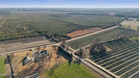 700 Acres Earl Davis Road Rose Hill NC 28458