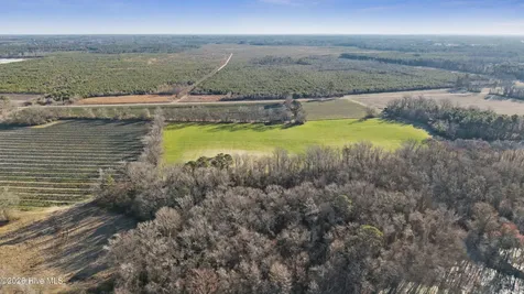 700 Acres Earl Davis Road Rose Hill NC 28458