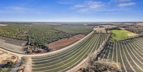 700 Acres Earl Davis Road Rose Hill NC 28458