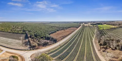 700 Acres Earl Davis Road Rose Hill NC 28458