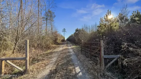 700 Acres Earl Davis Road Rose Hill NC 28458